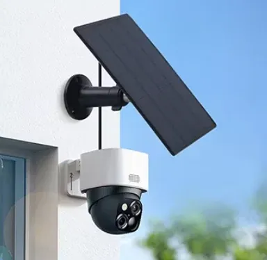 Surveillance & Security
